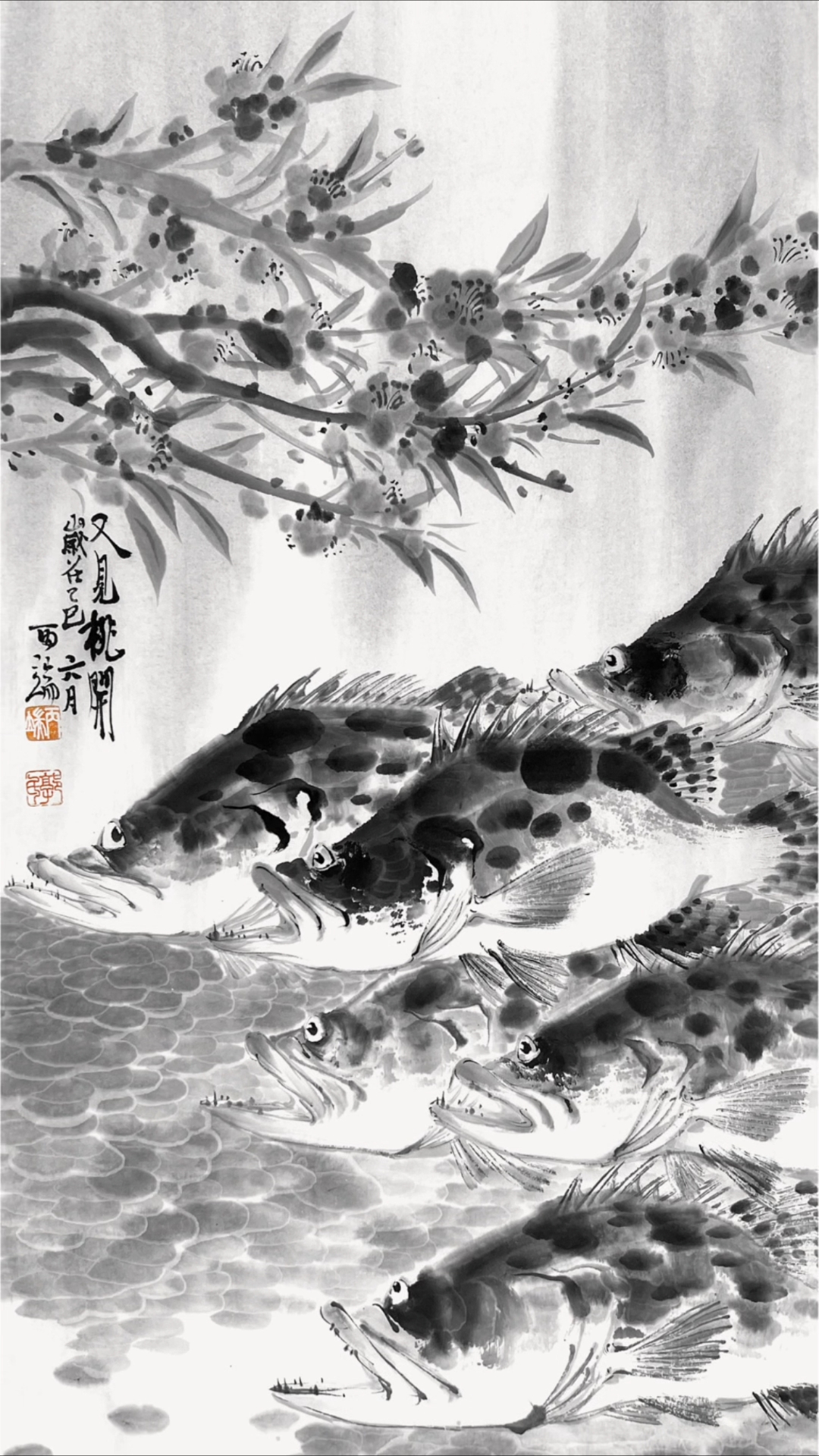 画水墨鳜鱼