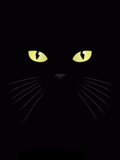 黑猫原来这么恐怖,难怪养的人少