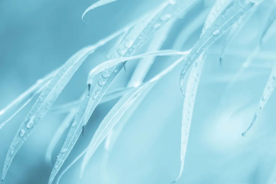 一张台湾语文试卷,90%的孩子不及格,你能答对几题?