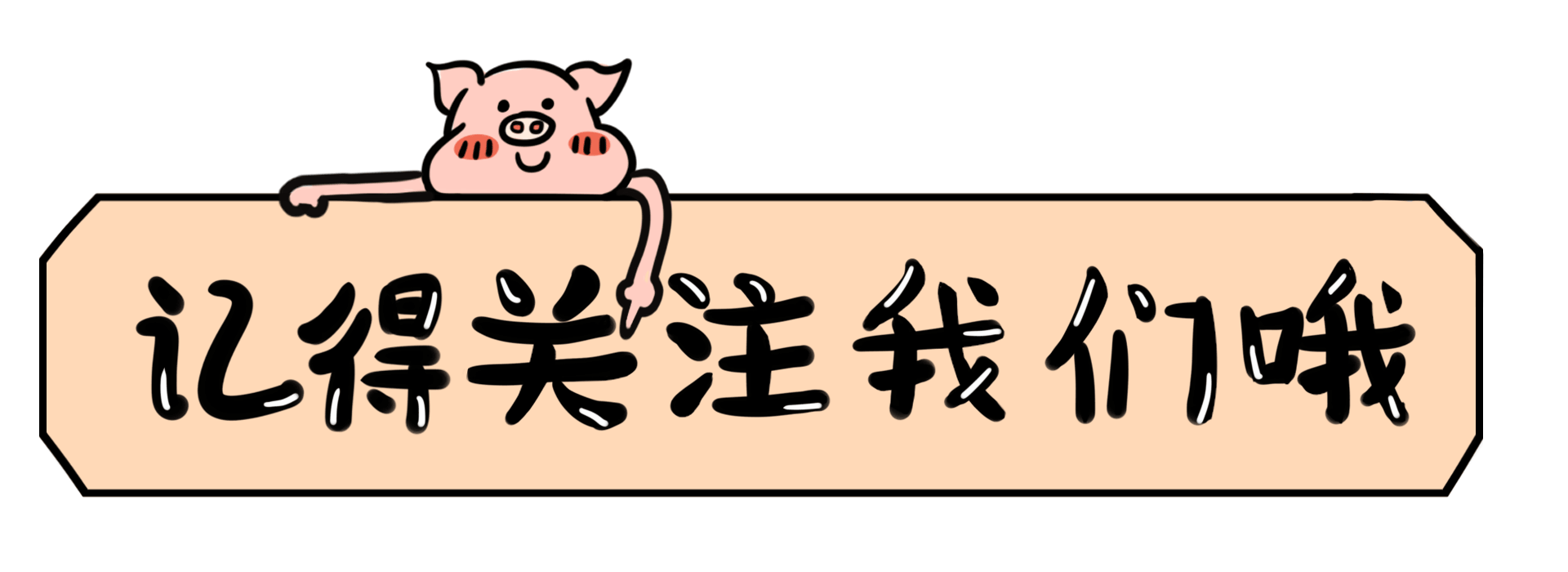 为什么养"约克夏"的人多?养过的都懂,太好养了!