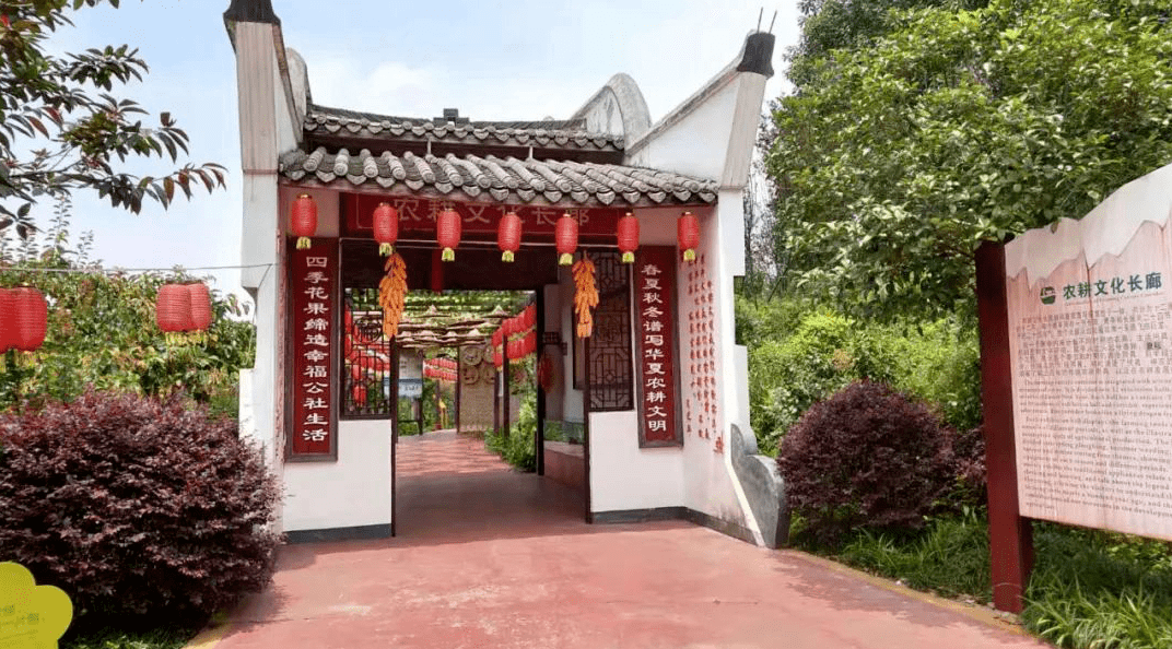 「新农村」我心目中的宜宾幸福公社‖刘子涵 但和霖 徐钥 黄云芳