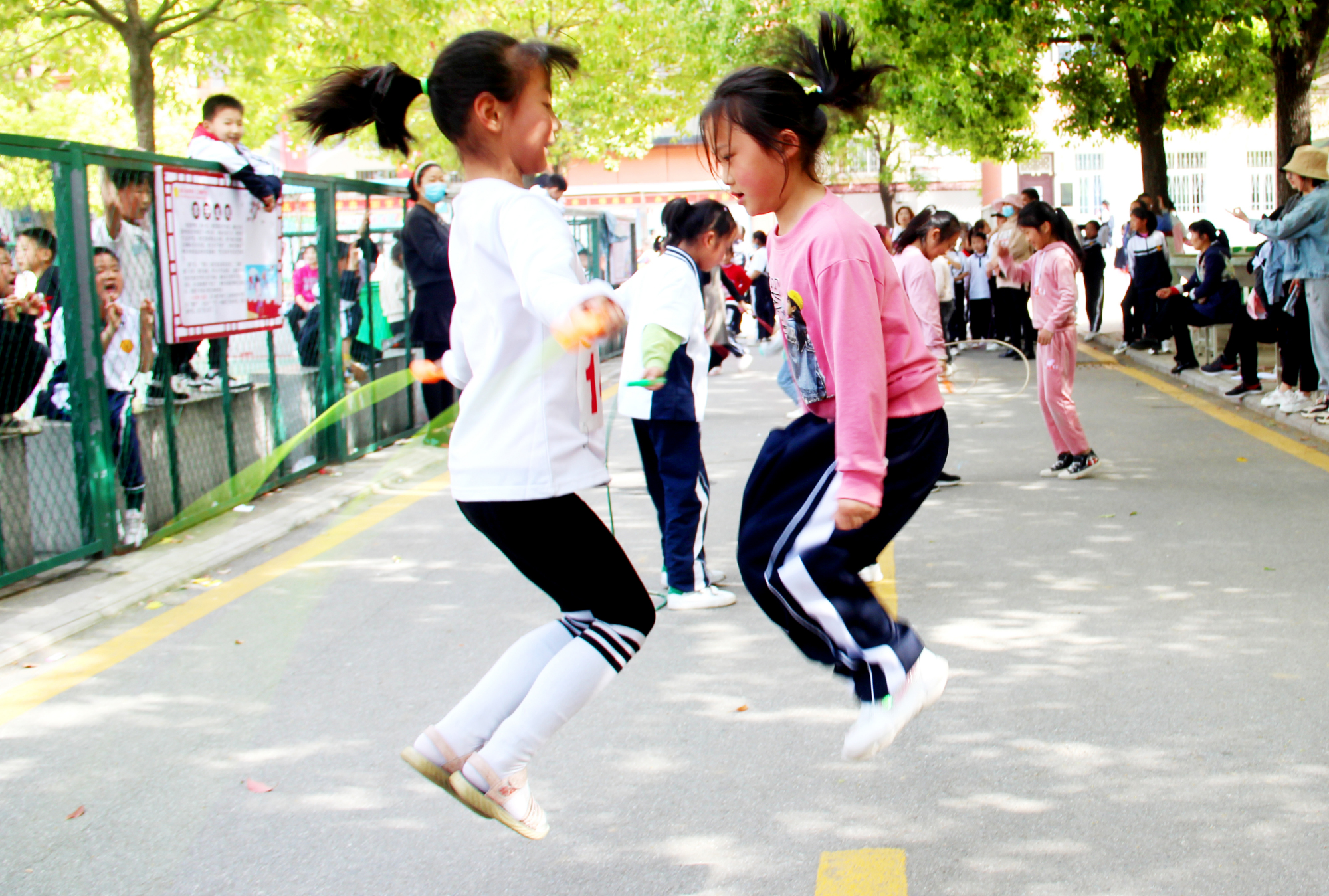 駐馬店市第十二初級中學(xué)怎么樣?陽光體育節(jié)(圖5)