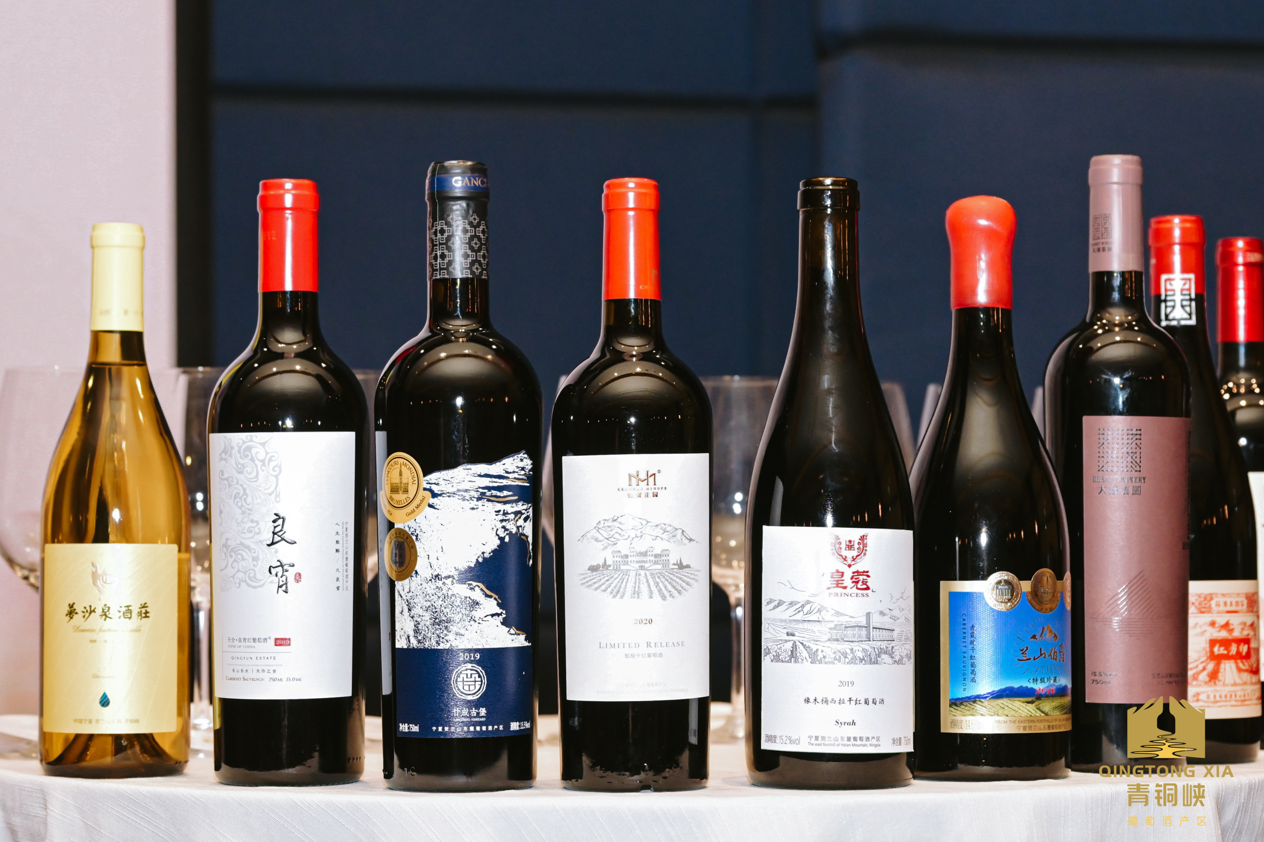 国家一级品酒师凌春鸣解读青铜峡产区三个"卖点"