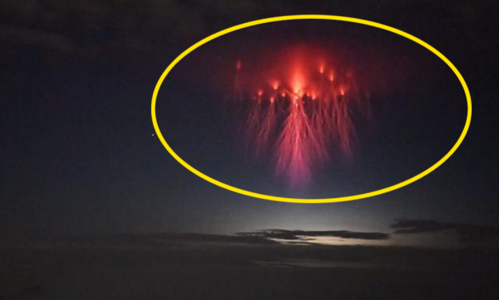 ufo或是一种大气生物?理论上分析,很有可能存在