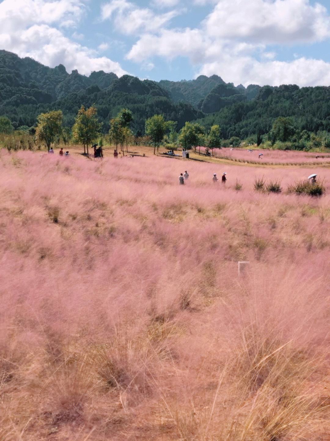 贾汪龙吟湖图片