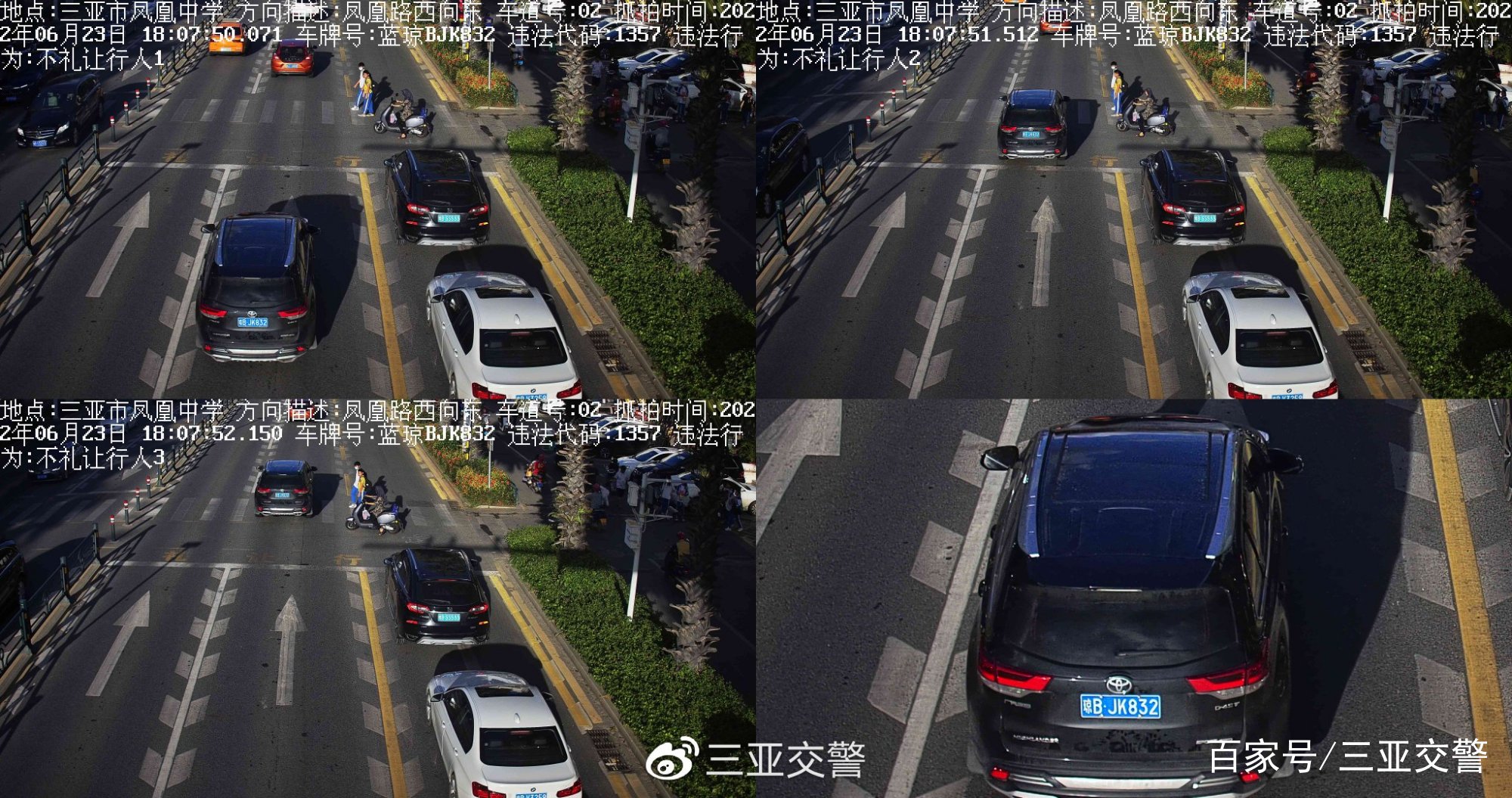 不文明交通行为曝光台｜机动车未礼让斑马线（七十四）(图8)