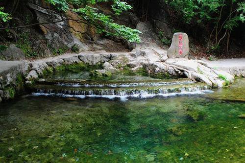 陕西金丝峡风景区,植物品种超过1696种,是国内的植物宝库