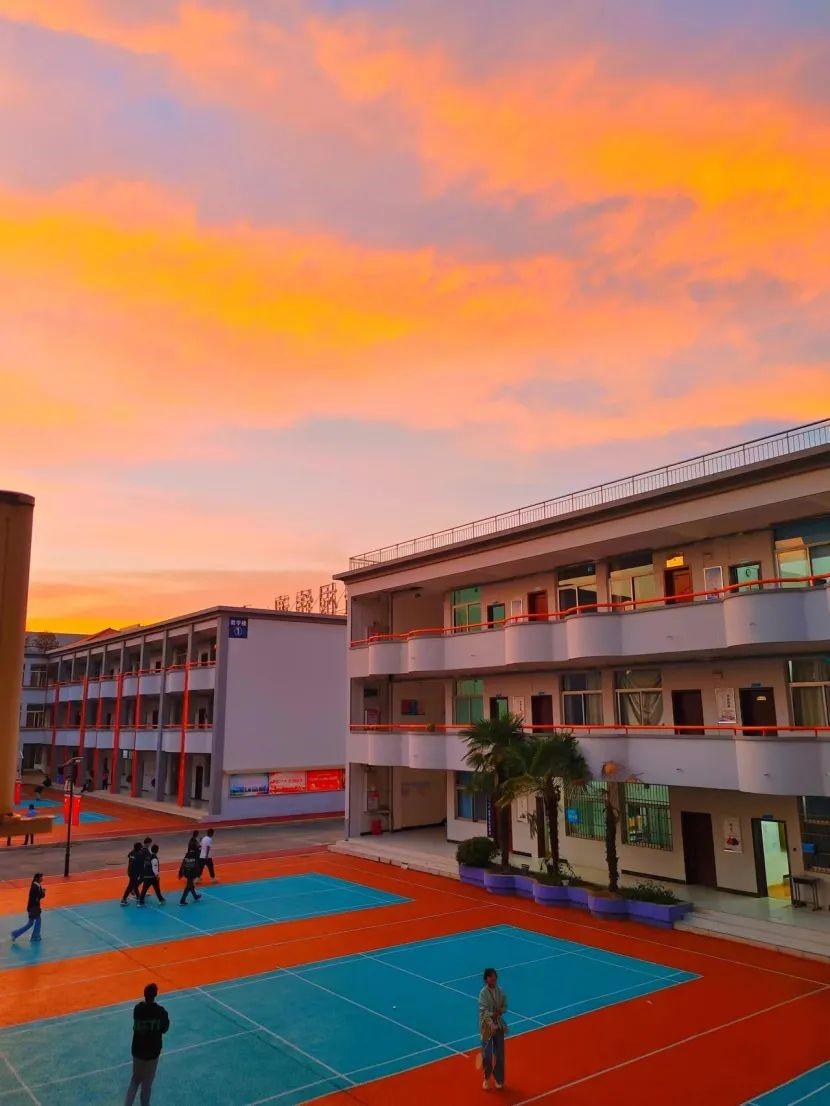 安徽明珠学校:践行劳动教育,共创美好校园