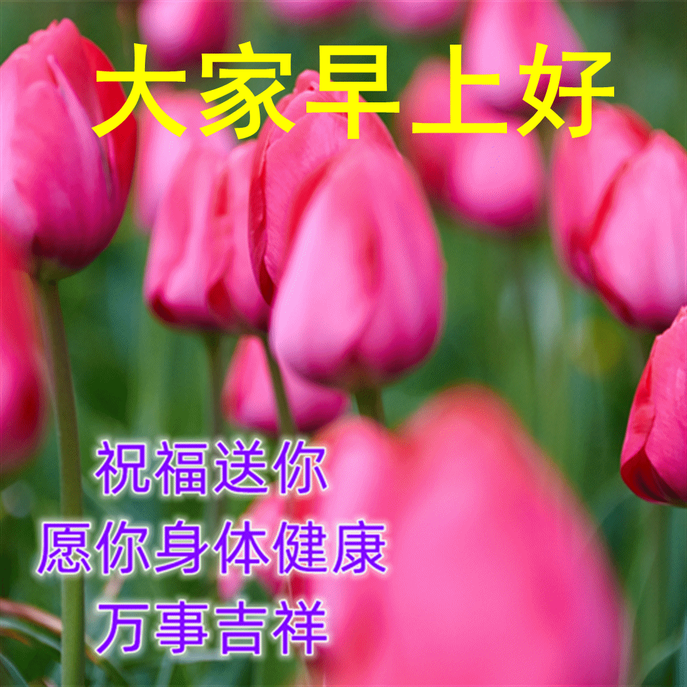 非常漂亮早上好祝福动态图片 微信朋友圈群发温馨暖心的早安祝福