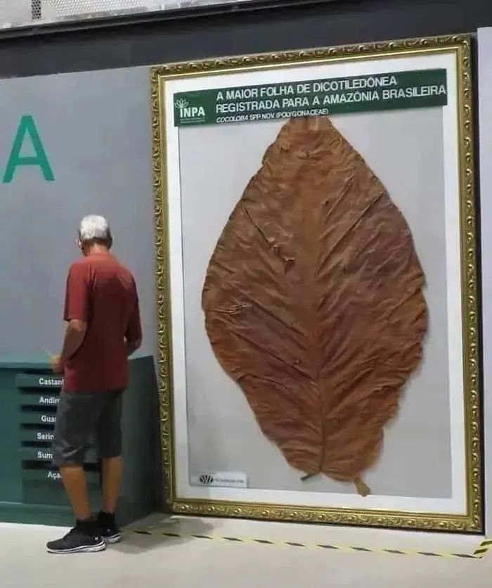 38张对比照片展示同一事物惊人的变化