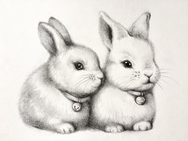 小白兔素描画大全可爱图片