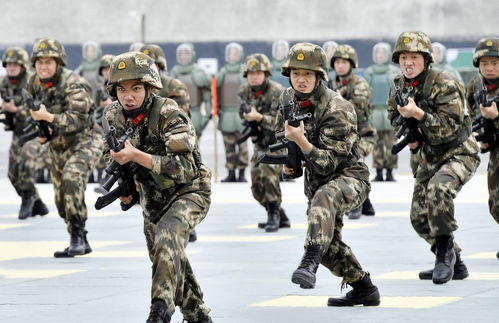 部队人数是怎么编制的?解放军编制最科学,是世界上最先进的编制