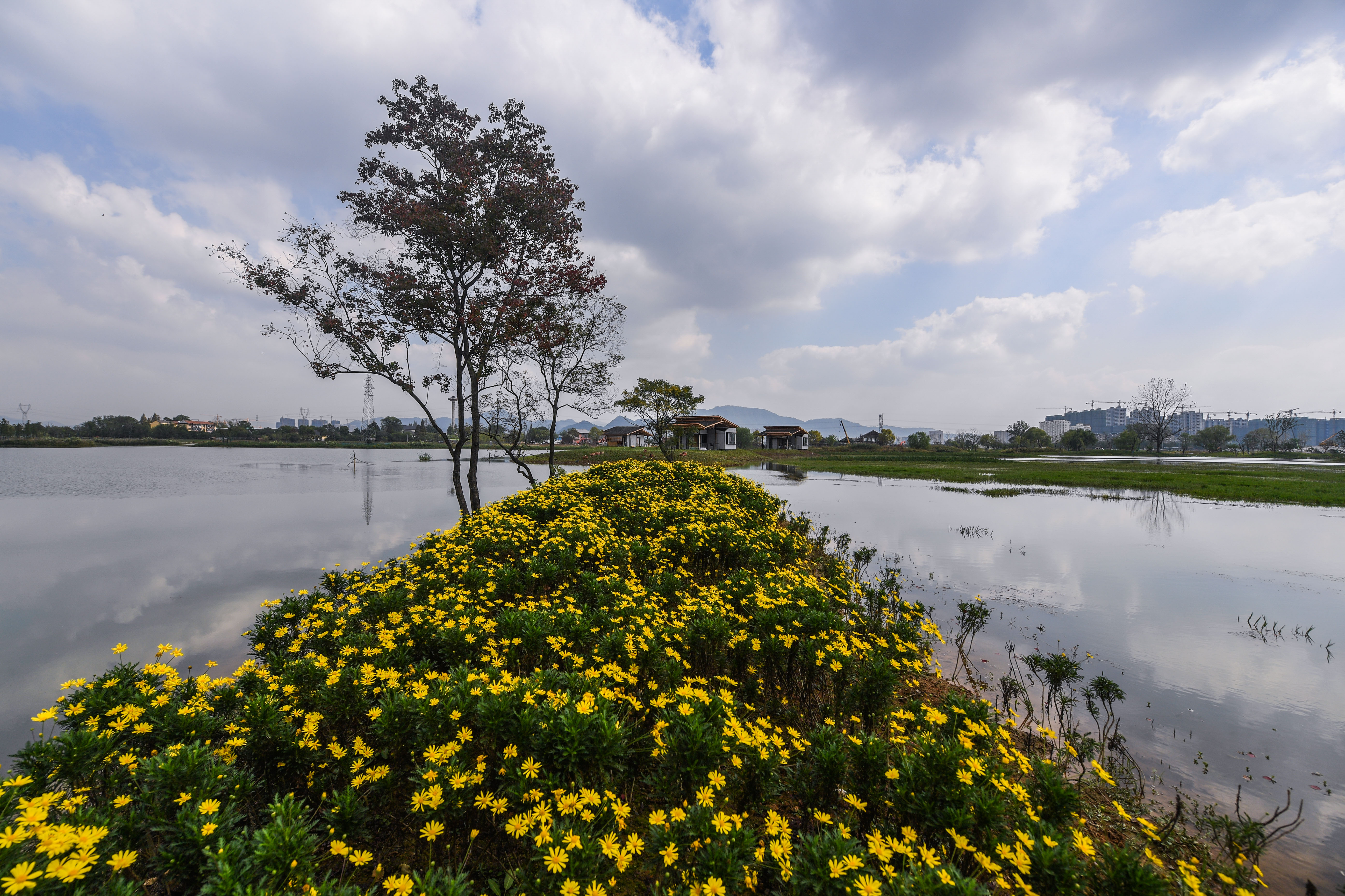 浙江富阳:城市"生态绿肺"亮相(1)