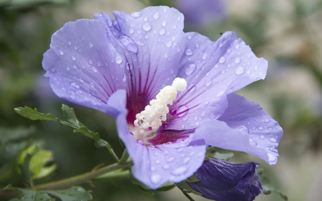 爱情中会展现出坚守,会一直爱着对方的三大星座情侣