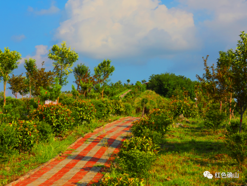 确山县普会寺镇:四大基地擎起富民产业 "绣花"功夫打造绿色矿山