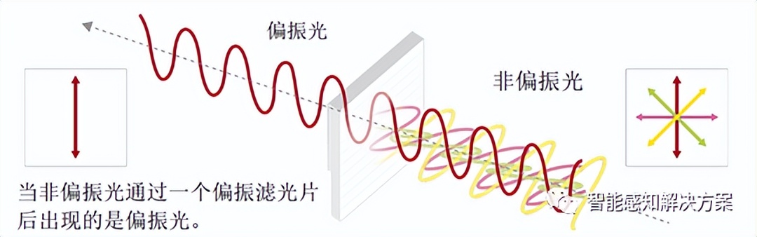 线偏振光图像图片