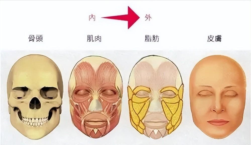 比变老更可怕的是“发腮”!年纪越大越明显,显老凶相、发福脸宽