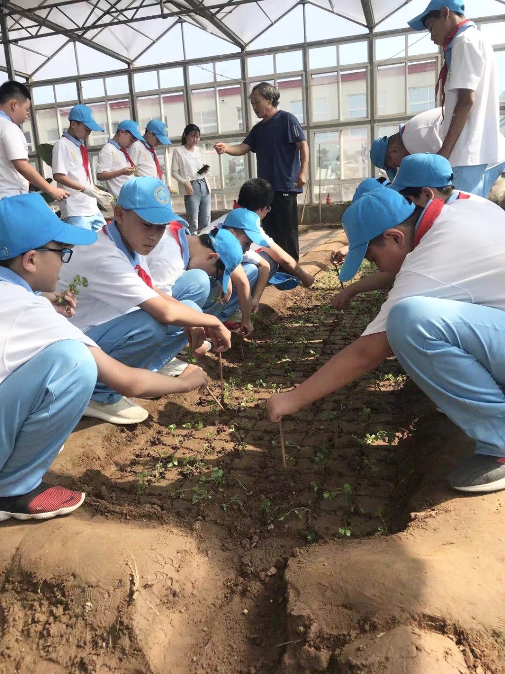 学农又学军!青岛第四实验初中600余新生"田地"里开启第一课