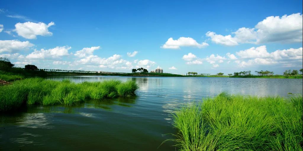 阿什河历史上首次实现上半年月均浓度消除劣Ⅴ类水质.