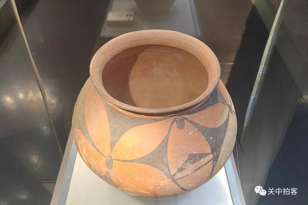 花开渭南,与华相宜:渭南市博物馆藏新石器时代花瓣纹彩陶罐