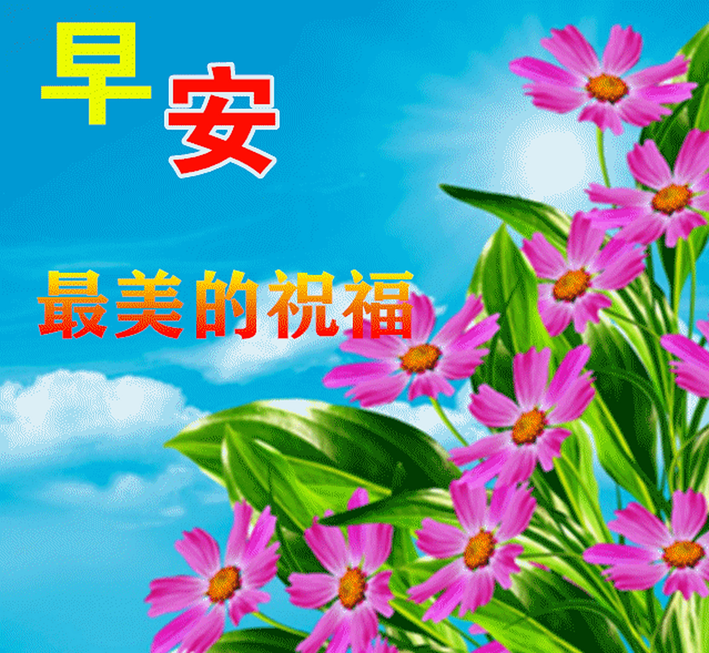 动态图片表情带字和鲜花,免打字夏日早安问候语配动态鲜花图片 1,早晨