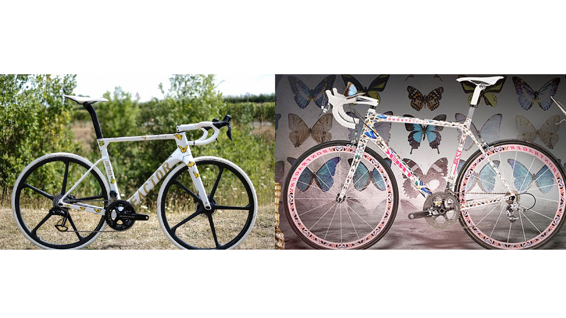 两款蝴蝶自行车,谁家更好看?