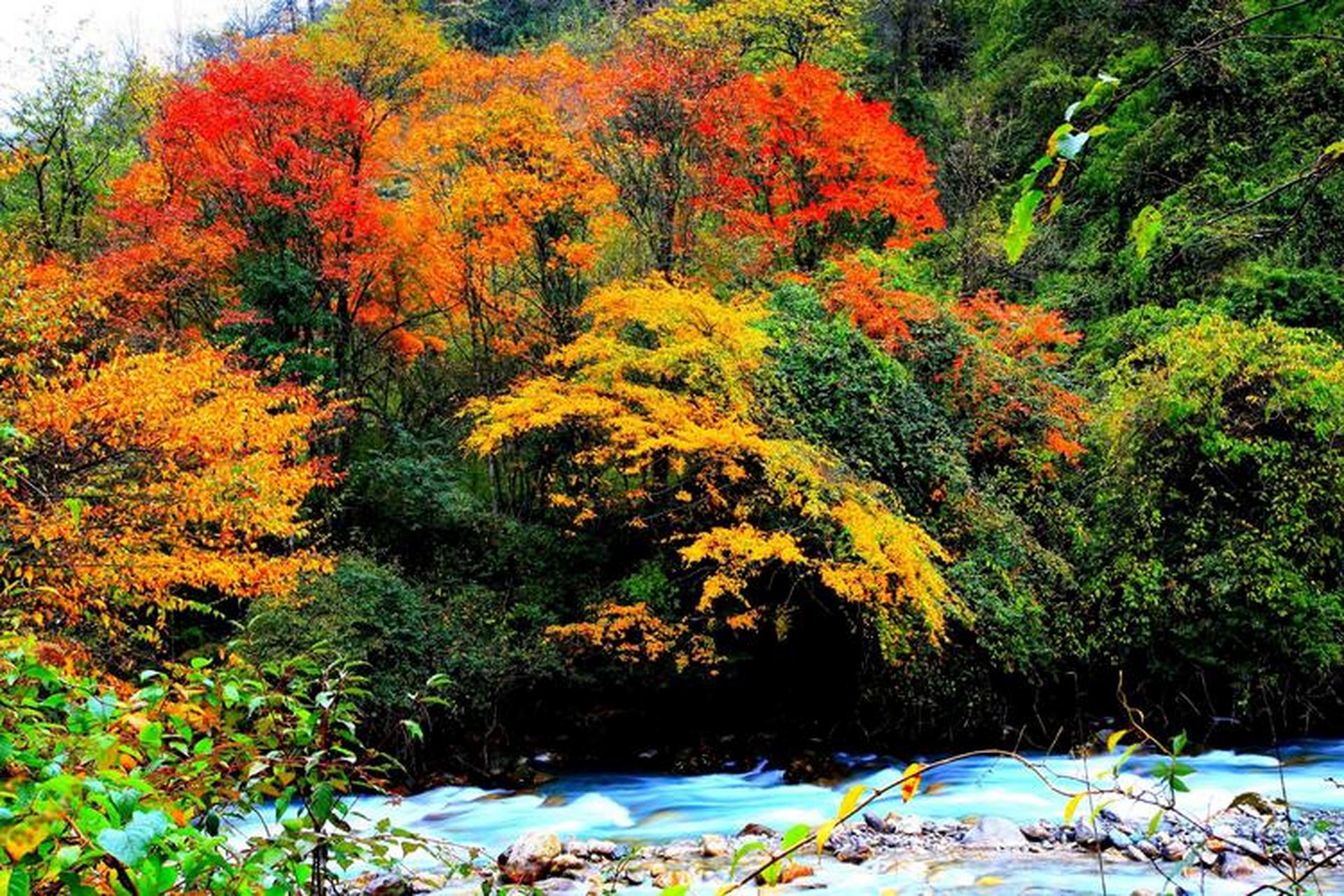 雅安的郎山喇叭河,一个充满清凉与活力的地方,位于雅安市天全县,这里