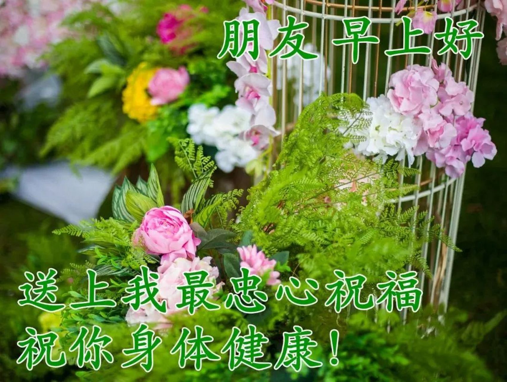 最美早上好问候图片及关心话 最新漂亮早安问候图片带字 1.