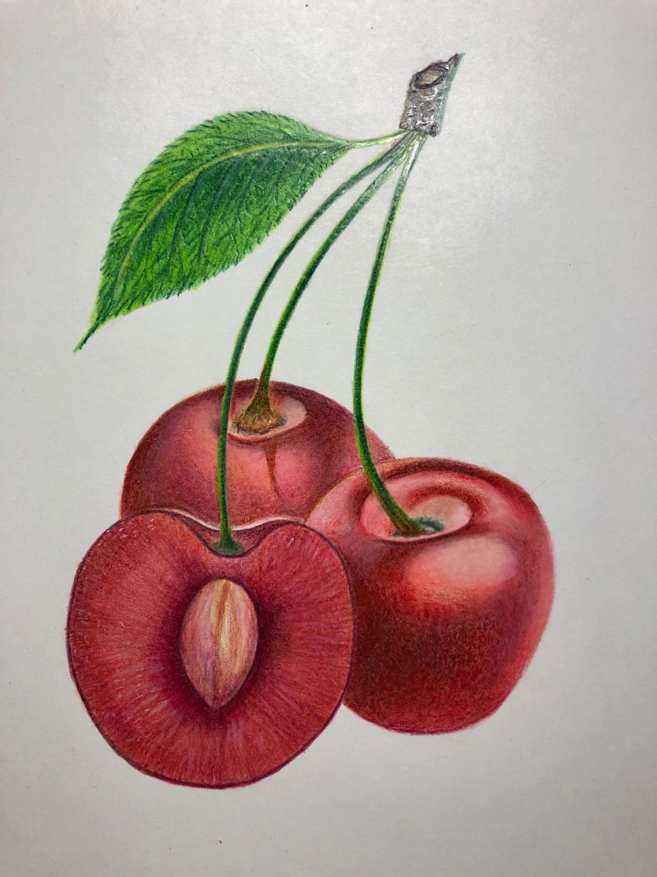彩铅—水果之樱桃(附起型及过程图) 樱桃成熟的季节画个樱桃  两年前