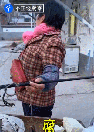 推荐|“五块钱给你仨棒子”东北大爷魔性吆喝 网友：买个玉米快把命搭上了