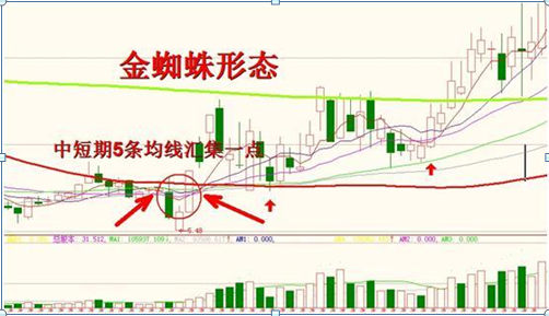 金蜘蛛k线形态图解图片