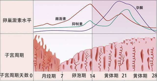 生完孩子後,女性最痛苦的事是什麼?