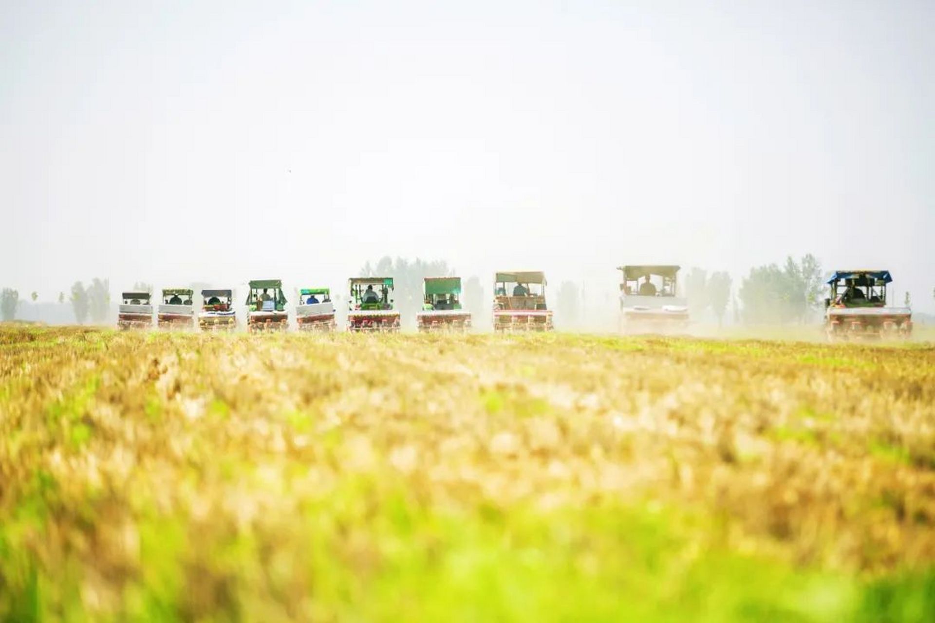 今日新鲜事# #新闻早班车#   今日要闻: 最新农情调度显示,目前全国