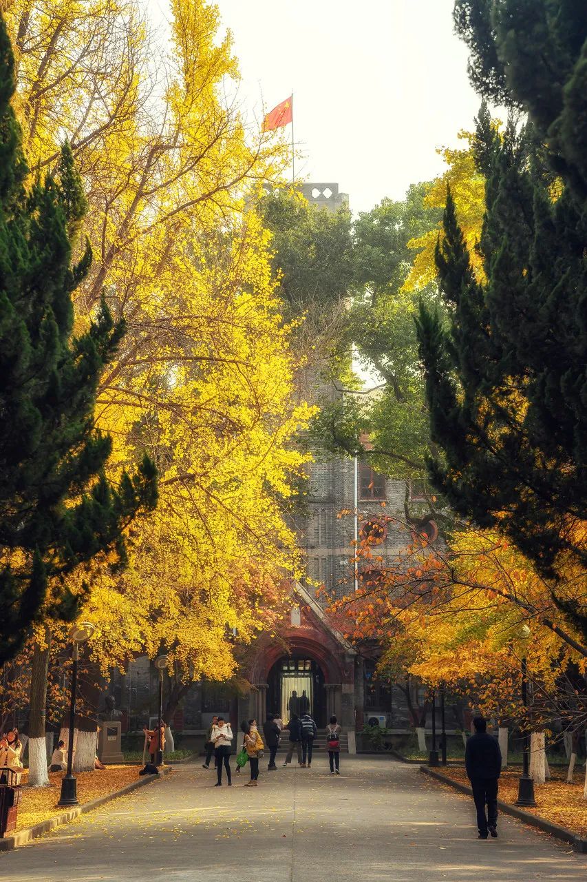 最美大学校园风景排名图片