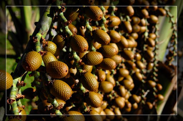 爱美女性多吃好的食物,营养丰富,滋润身体,气色年轻有活力