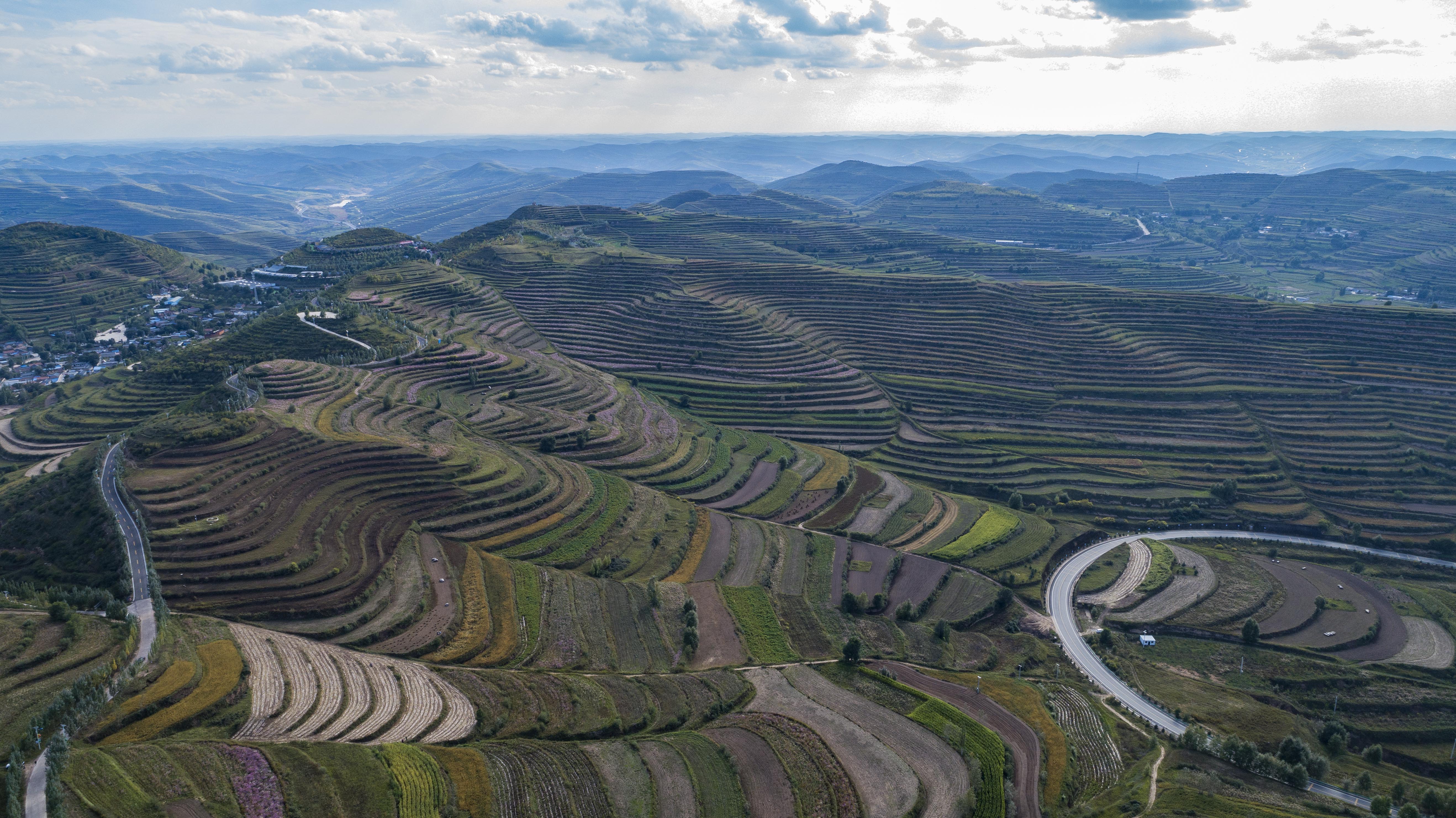 宁夏西吉:林草产业绘就五彩旱塬(1)