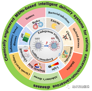 基於功能化介孔二氧化硅的智能遞送體系在多種疾病治療中的應用