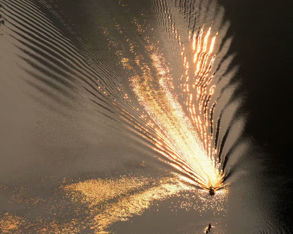 雄的叫"凤",雌的叫"凰",凤凰在哪里现身过,是一个物种吗?