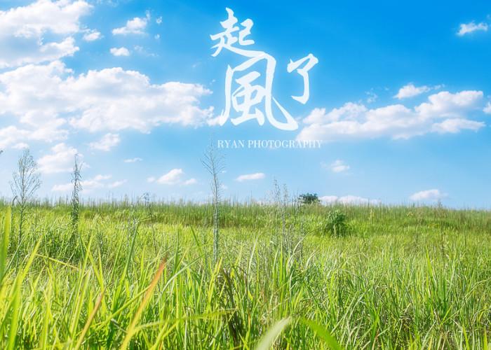 宫崎骏为什么改编《起风了》?原著太唯美,让人感动