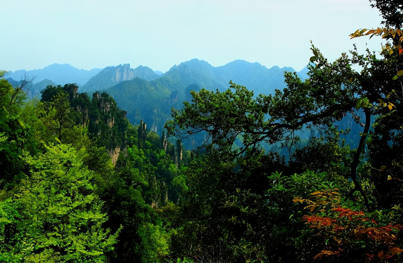 福建武夷山大山深处中隐藏的古墓 见证了历史风云流变