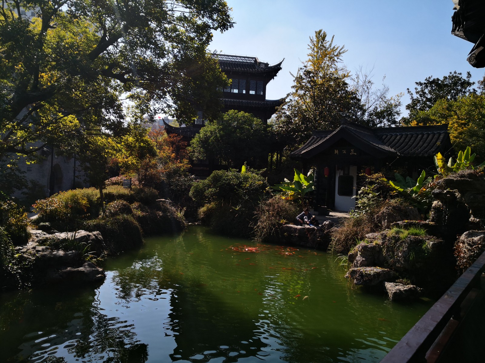 淮左第一园—泰州乔园