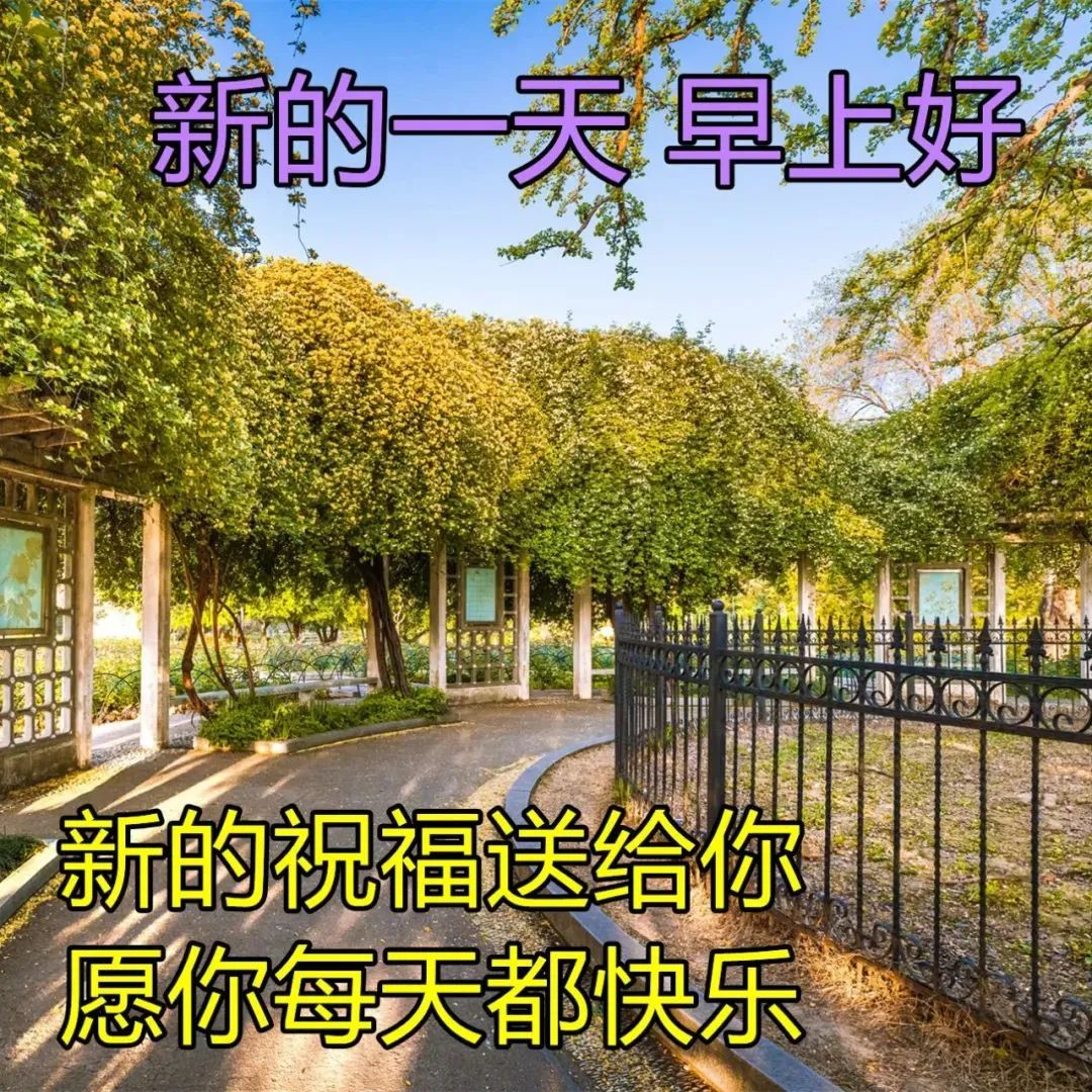 微信祝福图片大全表情图片