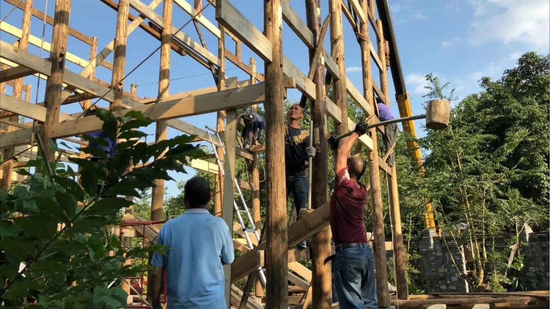 重访鹭鸟庄园:被媒体捧红后,继续孤独打造乐园