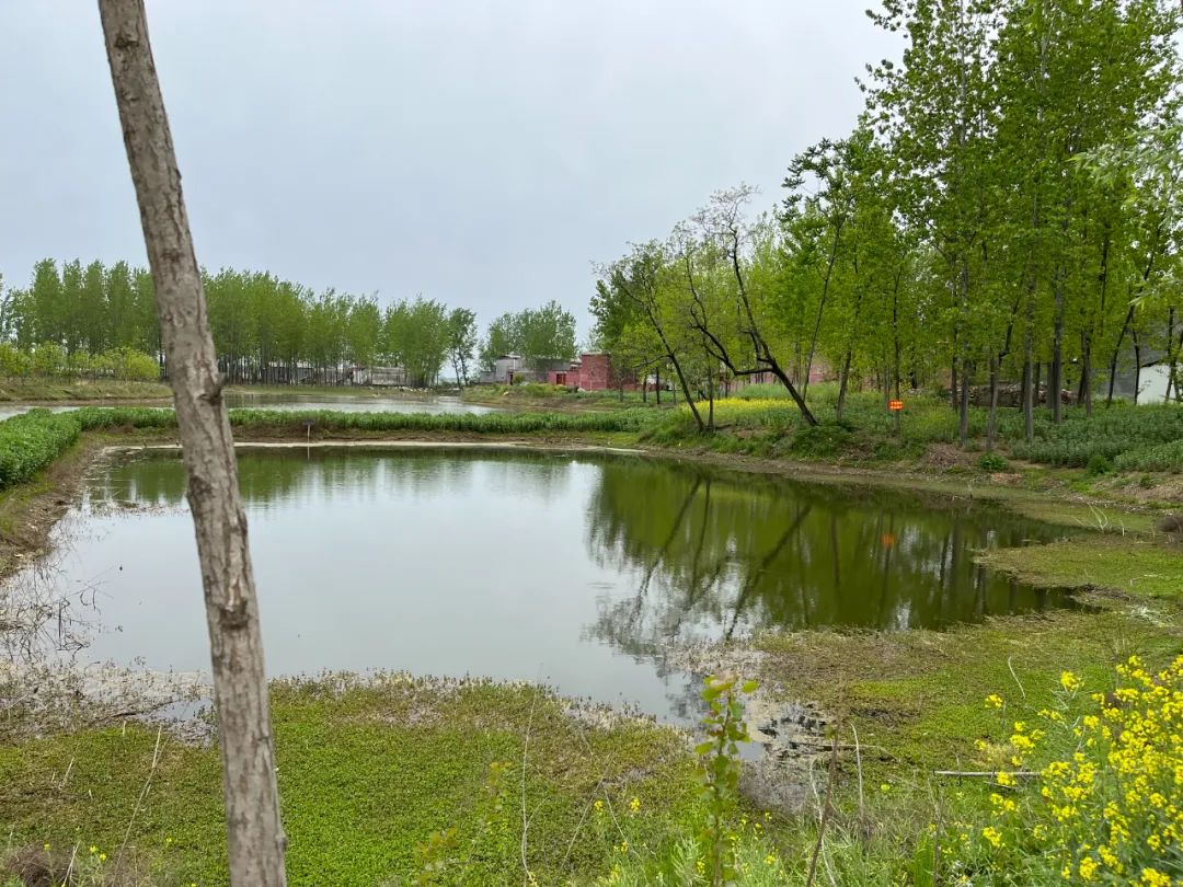 平舆县阳城镇洪山庙村图片