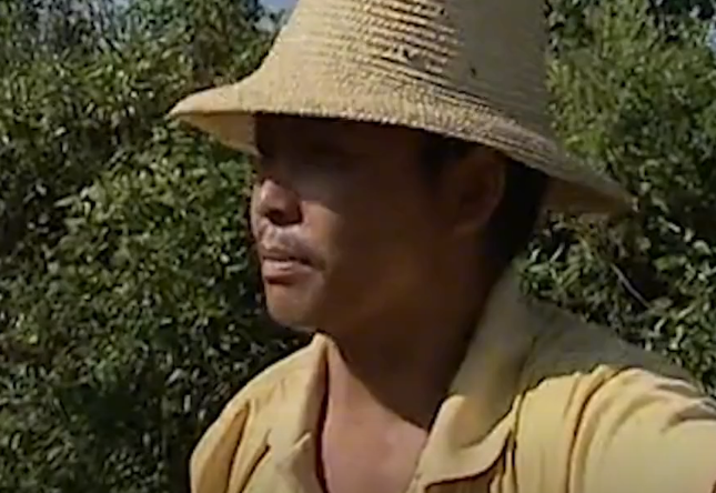 回顾云南山村奇异双色怪虾,耐高温不怕沸水几百年的水塘被喝光?