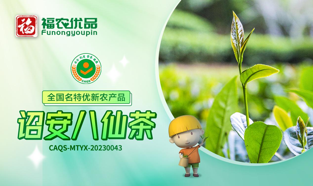 青褐油润醇厚甘爽诏安八仙茶福建省全国名特优新农产品