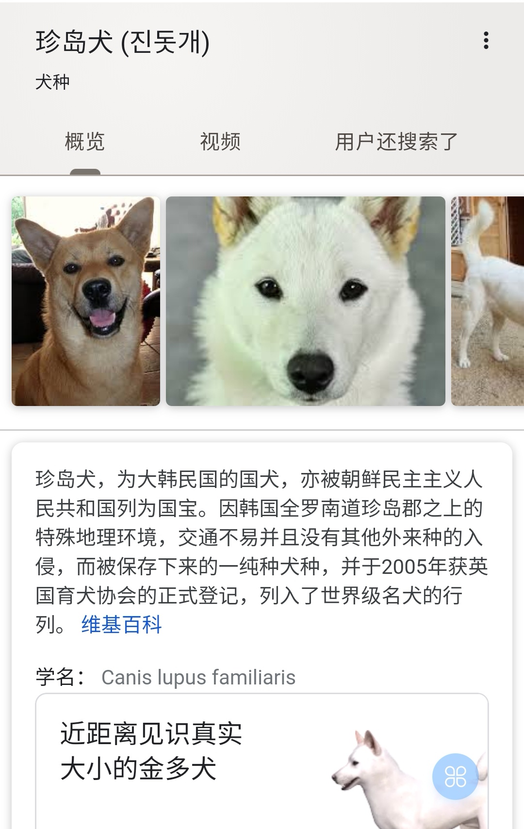 日本名犬排名图片