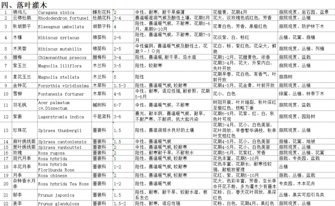 植物图片大全（各种植物图片及名称） 第92张