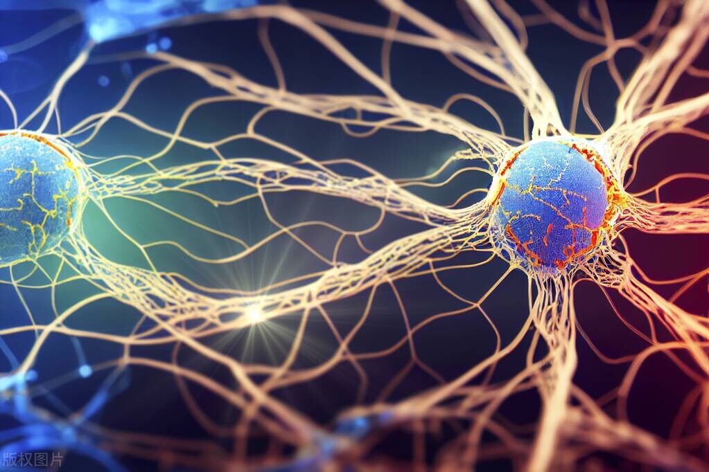 科学家在人脑中发现了多维宇宙