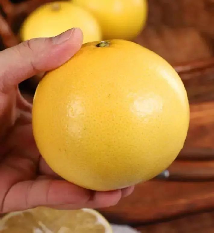 "柚"惑难挡,崇明鸡尾葡萄柚强势来袭
